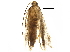  ( - BIOUG02784-A10)  @12 [ ] CreativeCommons - Attribution (2018) CBG Photography Group Centre for Biodiversity Genomics