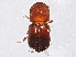  ( - BIOUG02789-C01)  @13 [ ] CreativeCommons - Attribution (2013) CBG Photography Group Centre for Biodiversity Genomics