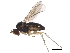  ( - BIOUG02885-F05)  @13 [ ] CreativeCommons - Attribution (2012) CBG Photography Group Centre for Biodiversity Genomics