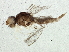  ( - BIOUG02918-H11)  @12 [ ] CreativeCommons - Attribution (2013) CBG Photography Group Centre for Biodiversity Genomics