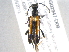  ( - BIOUG02947-D09)  @14 [ ] CreativeCommons - Attribution (2012) CBG Photography Group Centre for Biodiversity Genomics