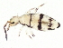  ( - BIOUG04694-B02)  @14 [ ] CreativeCommons - Attribution (2013) CBG Photography Group Centre for Biodiversity Genomics