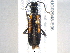  ( - BIOUG02948-E06)  @14 [ ] CreativeCommons - Attribution (2012) CBG Photography Group Centre for Biodiversity Genomics