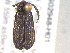  ( - BIOUG02948-H01)  @14 [ ] CreativeCommons - Attribution (2012) CBG Photography Group Centre for Biodiversity Genomics