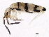  ( - BIOUG04712-D03)  @14 [ ] CreativeCommons - Attribution (2013) CBG Photography Group Centre for Biodiversity Genomics