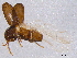  ( - BIOUG02943-G10)  @13 [ ] CreativeCommons - Attribution (2012) CBG Photography Group Centre for Biodiversity Genomics