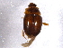  ( - BIOUG03015-B05)  @14 [ ] CreativeCommons - Attribution (2012) CBG Photography Group Centre for Biodiversity Genomics