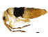  ( - BIOUG04779-A06)  @15 [ ] CreativeCommons - Attribution (2013) CBG Photography Group Centre for Biodiversity Genomics