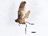  ( - BIOUG02919-H09)  @13 [ ] CreativeCommons - Attribution (2013) CBG Photography Group Centre for Biodiversity Genomics