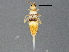  ( - BIOUG04815-A05)  @15 [ ] CreativeCommons - Attribution (2013) CBG Photography Group Centre for Biodiversity Genomics