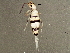  ( - BIOUG04815-E08)  @14 [ ] CreativeCommons - Attribution (2013) CBG Photography Group Centre for Biodiversity Genomics