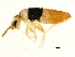  ( - BIOUG04816-H09)  @15 [ ] CreativeCommons - Attribution (2013) CBG Photography Group Centre for Biodiversity Genomics