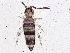  ( - BIOUG04831-C06)  @15 [ ] CreativeCommons - Attribution (2013) CBG Photography Group Centre for Biodiversity Genomics