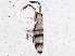  ( - BIOUG04831-C09)  @15 [ ] CreativeCommons - Attribution (2013) CBG Photography Group Centre for Biodiversity Genomics