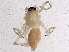  ( - BIOUG04831-C11)  @12 [ ] CreativeCommons - Attribution (2013) CBG Photography Group Centre for Biodiversity Genomics