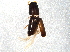  ( - BIOUG03582-E03)  @13 [ ] CreativeCommons - Attribution (2013) CBG Photography Group Centre for Biodiversity Genomics
