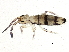  ( - BIOUG04556-H02)  @14 [ ] CreativeCommons - Attribution (2013) CBG Photography Group Centre for Biodiversity Genomics