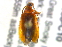  ( - BIOUG04558-C10)  @13 [ ] CreativeCommons - Attribution (2013) CBG Photography Group Centre for Biodiversity Genomics
