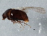  ( - BIOUG04545-B08)  @12 [ ] CreativeCommons - Attribution (2013) CBG Photography Group Centre for Biodiversity Genomics