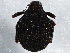 ( - BIOUG04545-E07)  @13 [ ] CreativeCommons - Attribution (2013) CBG Photography Group Centre for Biodiversity Genomics