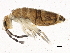  ( - BIOUG04725-A02)  @15 [ ] CreativeCommons - Attribution (2013) CBG Photography Group Centre for Biodiversity Genomics