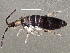  ( - BIOUG04728-H10)  @15 [ ] CreativeCommons - Attribution (2013) CBG Photography Group Centre for Biodiversity Genomics