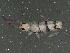  ( - BIOUG04770-F07)  @14 [ ] CreativeCommons - Attribution (2013) CBG Photography Group Centre for Biodiversity Genomics