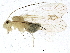  ( - BIOUG04493-H02)  @13 [ ] CreativeCommons - Attribution (2013) CBG Photography Group Centre for Biodiversity Genomics