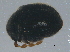  ( - BIOUG04767-B09)  @13 [ ] CreativeCommons - Attribution (2013) CBG Photography Group Centre for Biodiversity Genomics