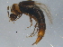  ( - BIOUG04767-D05)  @12 [ ] CreativeCommons - Attribution (2013) CBG Photography Group Centre for Biodiversity Genomics