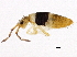  ( - BIOUG04833-F06)  @15 [ ] CreativeCommons - Attribution (2013) CBG Photography Group Centre for Biodiversity Genomics