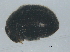  ( - BIOUG04767-F04)  @13 [ ] CreativeCommons - Attribution (2013) CBG Photography Group Centre for Biodiversity Genomics