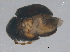  ( - BIOUG04767-H02)  @12 [ ] CreativeCommons - Attribution (2013) CBG Photography Group Centre for Biodiversity Genomics