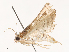  ( - CBG-B00082-C07)  @11 [ ] CreativeCommons - Attribution Share - Alike (2025) CBG Photography Group Centre for Biodiversity Genomics