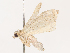  ( - CBG-B23311-A08)  @11 [ ] CreativeCommons - Attribution Share - Alike (2025) CBG Photography Group Centre for Biodiversity Genomics