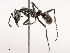  ( - CBG-B23311-D08)  @11 [ ] CreativeCommons - Attribution Share - Alike (2025) CBG Photography Group Centre for Biodiversity Genomics