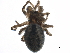  ( - BIOUG15488-A05)  @14 [ ] CreativeCommons - Attribution (2015) CBG Photography Group Centre for Biodiversity Genomics