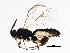  ( - BIOUG15523-B12)  @13 [ ] CreativeCommons - Attribution (2015) CBG Photography Group Centre for Biodiversity Genomics