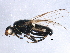  ( - BIOUG15602-H05)  @12 [ ] CreativeCommons - Attribution (2015) CBG Photography Group Centre for Biodiversity Genomics
