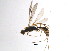  ( - BIOUG05058-E06)  @13 [ ] CreativeCommons - Attribution (2013) CBG Photography Group Centre for Biodiversity Genomics