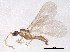  ( - BIOUG08167-D10)  @12 [ ] CreativeCommons - Attribution (2014) CBG Photography Group Centre for Biodiversity Genomics