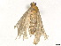  ( - BIOUG19607-B07)  @11 [ ] CreativeCommons - Attribution (2024) CBG Photography Group Centre for Biodiversity Genomics