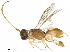  ( - BIOUG19974-F05)  @11 [ ] CreativeCommons - Attribution (2019) CBG Photography Group Centre for Biodiversity Genomics