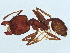  ( - BIOUG25865-G01)  @11 [ ] CreativeCommons - Attribution (2022) CBG Photography Group Centre for Biodiversity Genomics