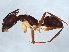  ( - BIOUG25658-H02)  @11 [ ] CreativeCommons - Attribution (2022) CBG Photography Group Centre for Biodiversity Genomics