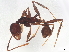  ( - BIOUG26860-B04)  @11 [ ] CreativeCommons - Attribution (2022) CBG Photography Group Centre for Biodiversity Genomics