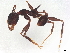  ( - BIOUG26862-C12)  @11 [ ] CreativeCommons - Attribution (2022) CBG Photography Group Centre for Biodiversity Genomics