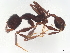  ( - BIOUG28324-G06)  @11 [ ] CreativeCommons - Attribution (2022) CBG Photography Group Centre for Biodiversity Genomics
