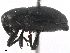  ( - BIOUG42545-B09)  @11 [ ] CreativeCommons - Attribution (2019) CBG Photography Group Centre for Biodiversity Genomics