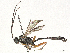  ( - BIOUG48401-B05)  @11 [ ] CreativeCommons - Attribution (2024) CBG Photography Group Centre for Biodiversity Genomics